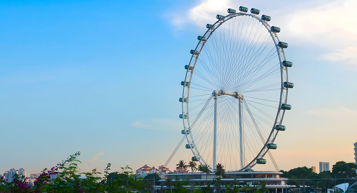 65m ferris wheel rides